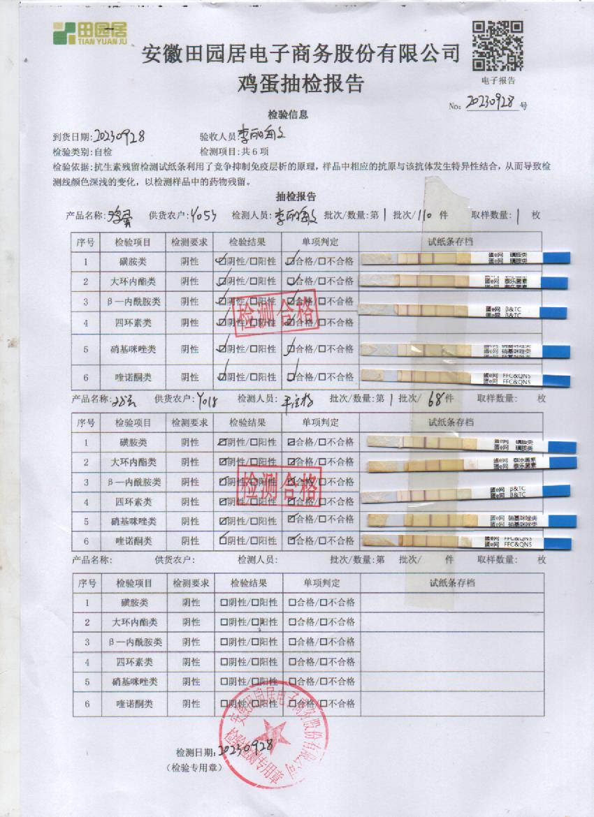 2023年9月28號鮮雞蛋檢測報告