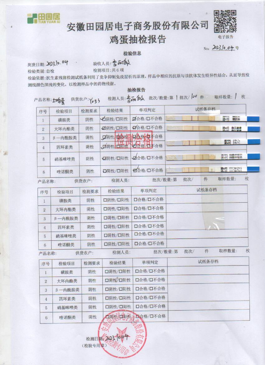 2023年10月4號鮮雞蛋檢測報告